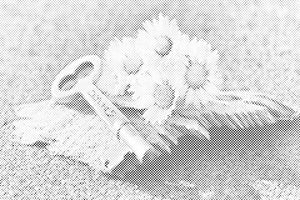 Clé des rêves - Dottingo