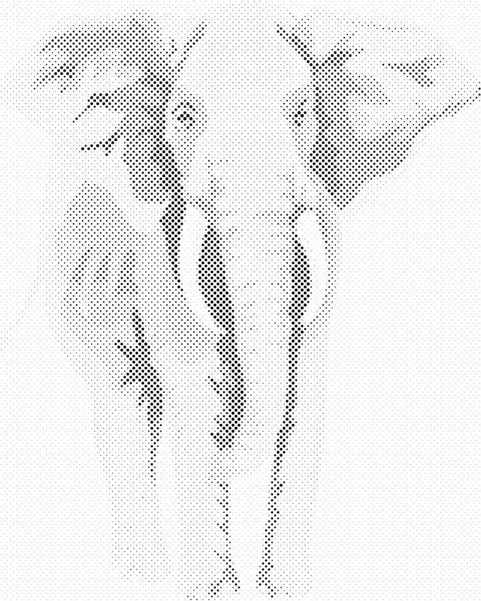 Eléphant rose - Dottingo