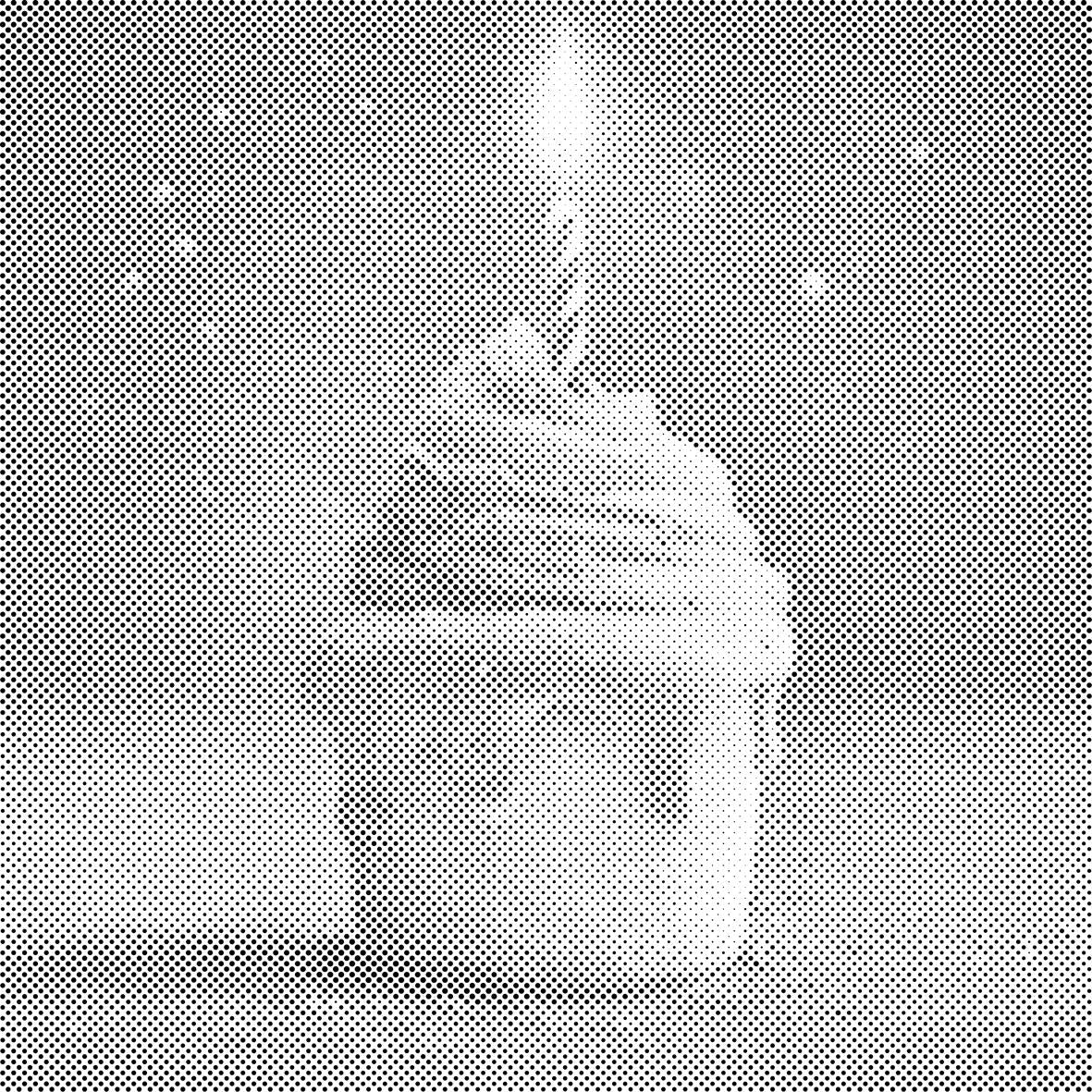Le premier anniversaire - Dottingo