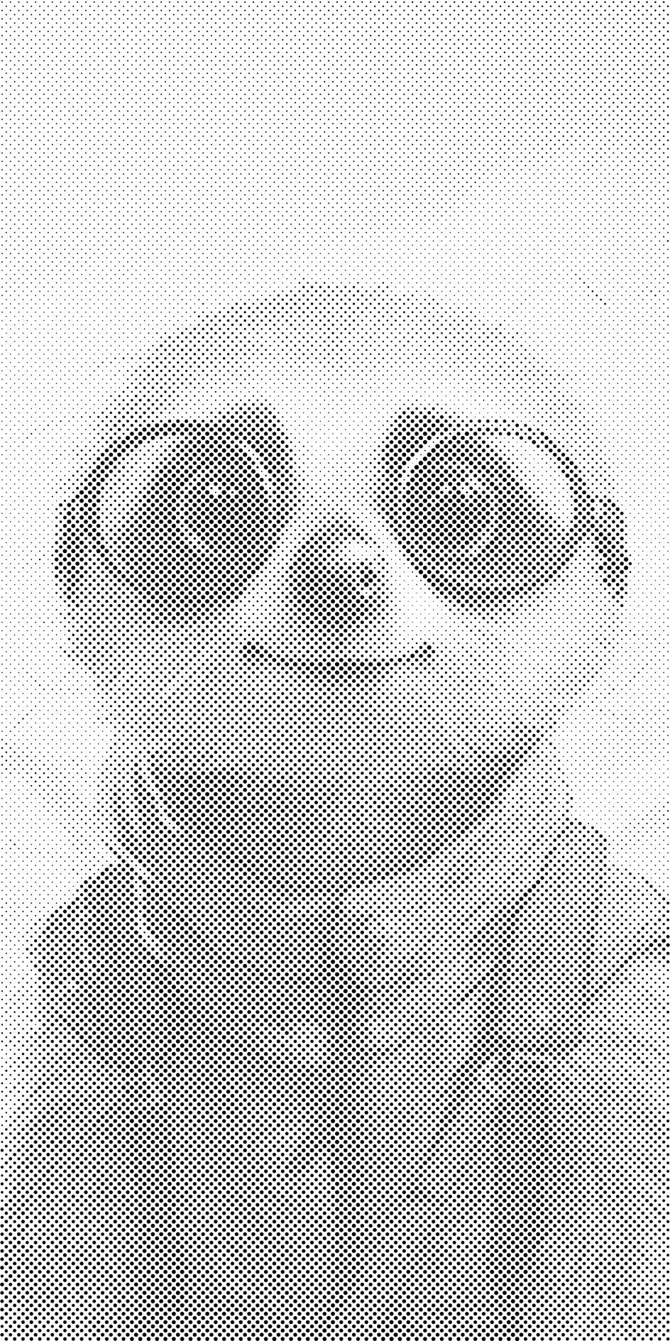 Suricate avec des lunettes - Dottingo