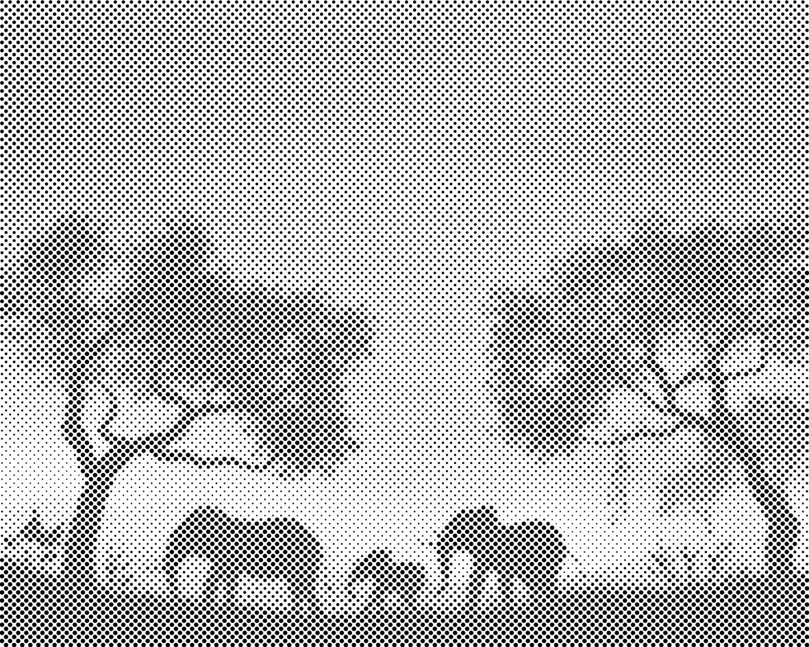 Famille Eléphant - Dottingo