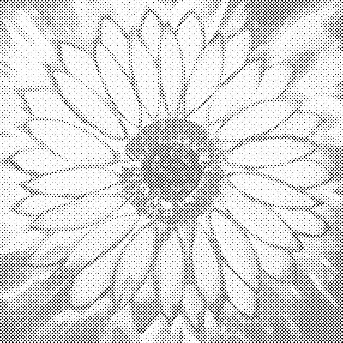 Tournesol radieux - Dottingo