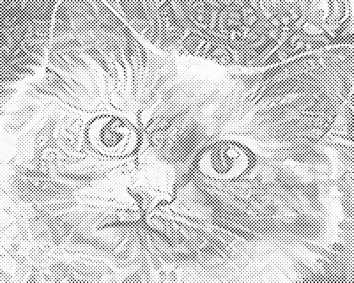 Tête de chat 3 - Dottingo