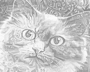 Tête de chat 3 - Dottingo