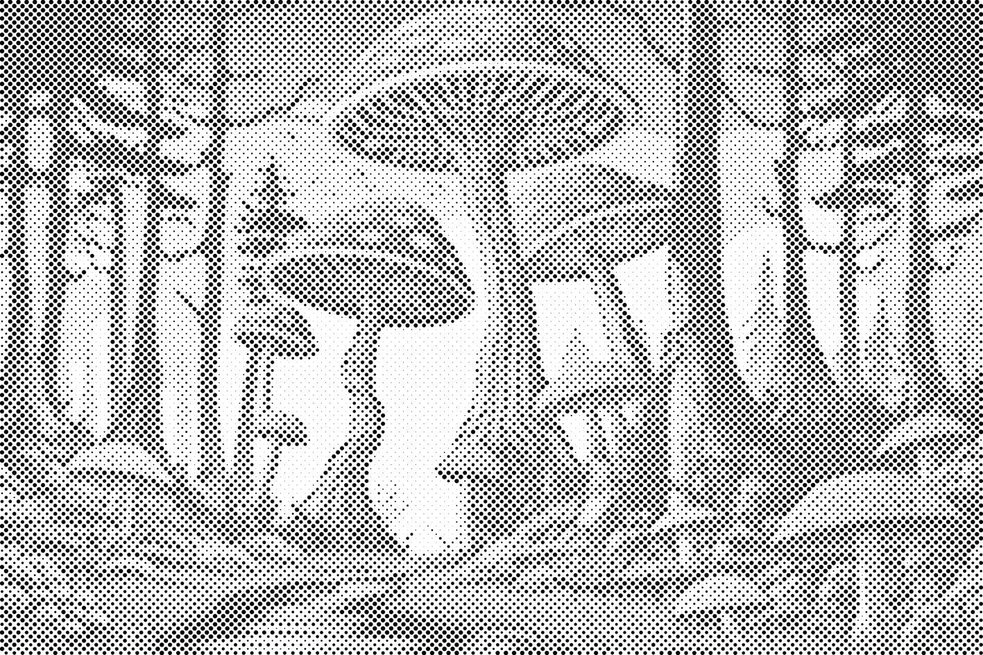Champignons - Dottingo