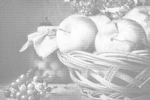 Fruits du jardin - Dottingo