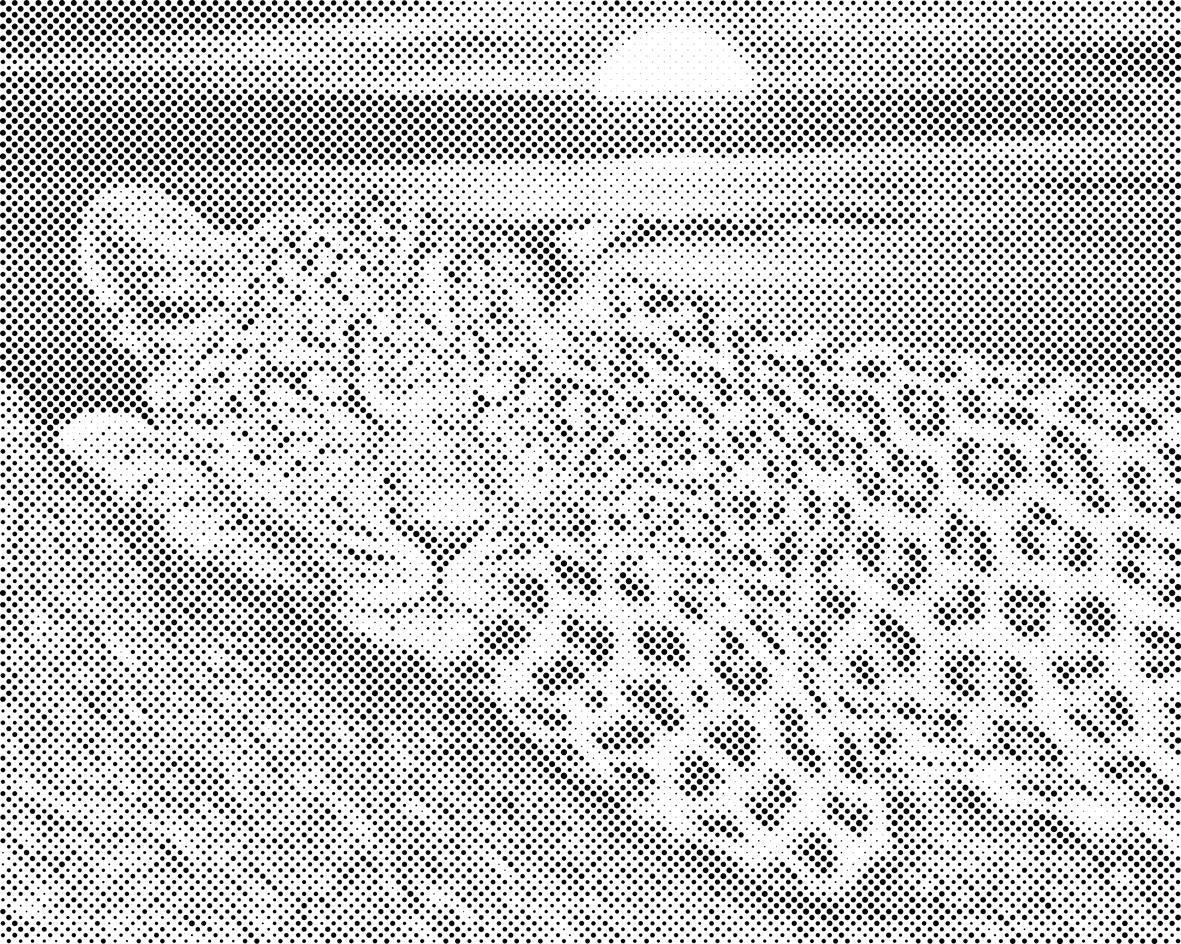 Leopard au coucher du soleil - Dottingo