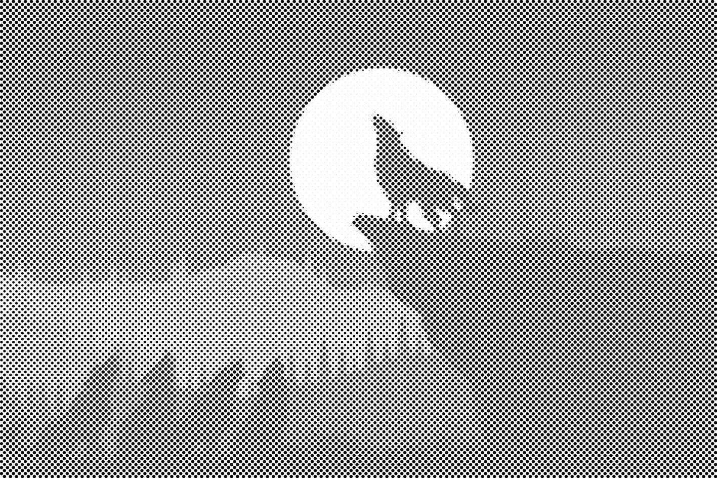 Loup la nuit - Dottingo