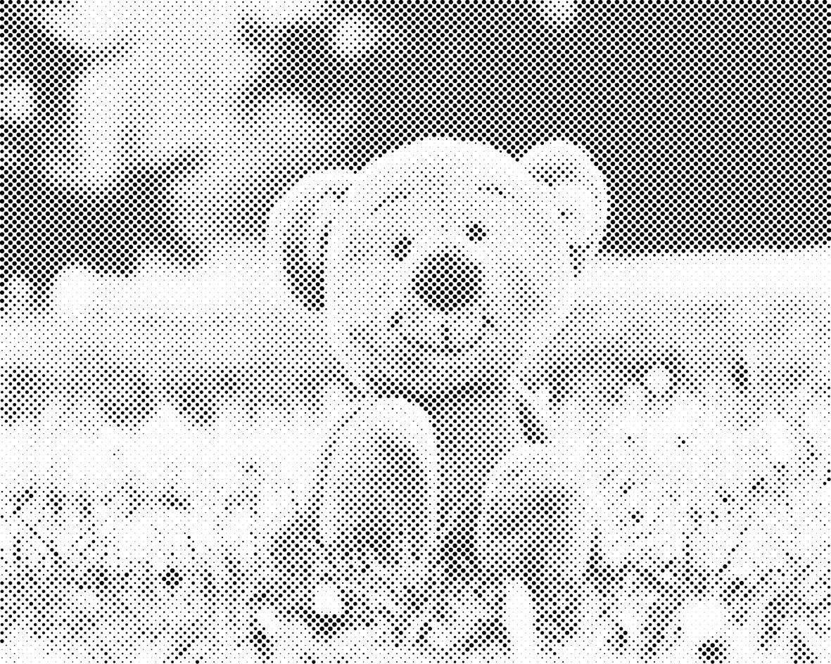 Ours dans l'herbe - Dottingo