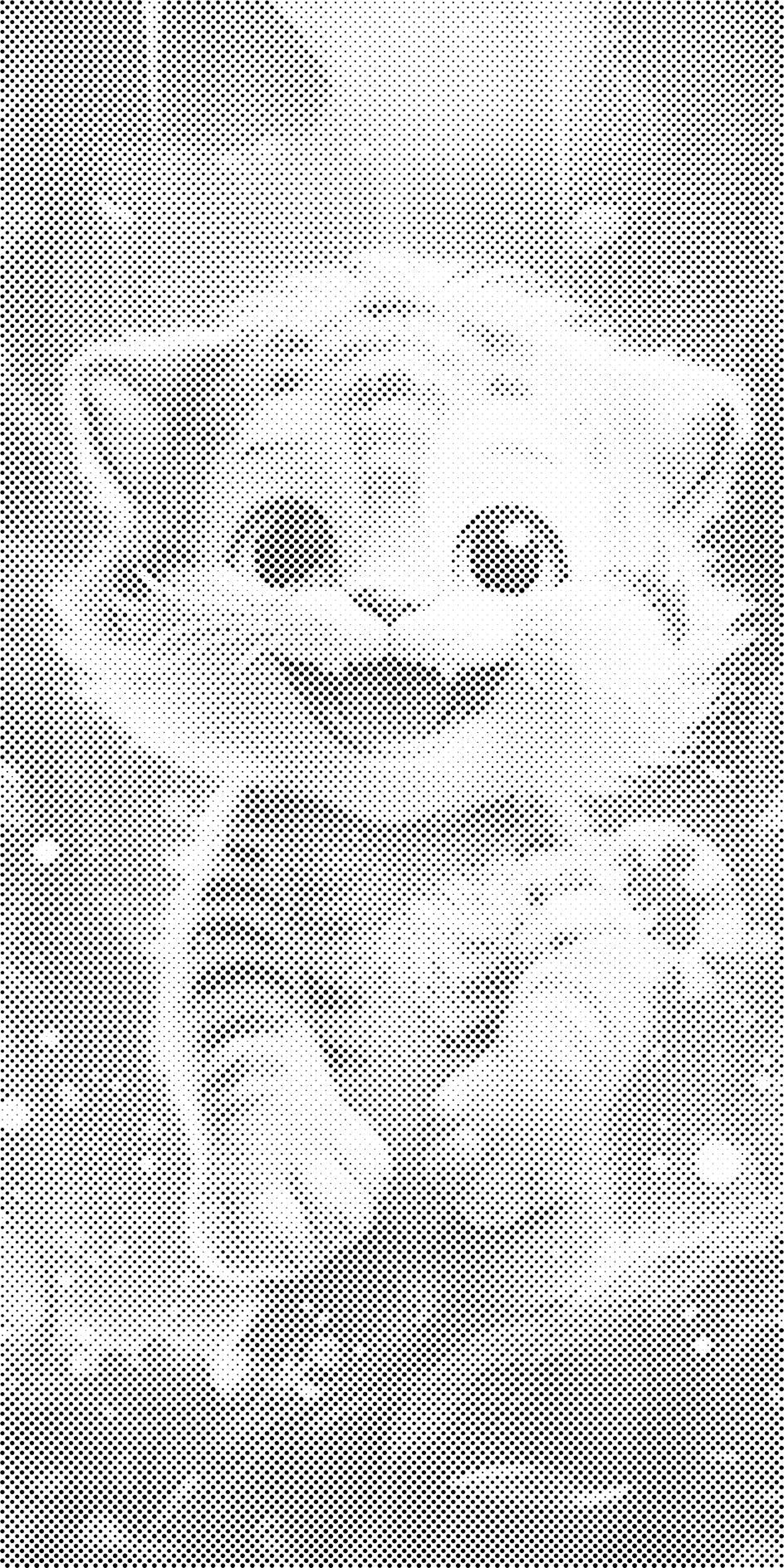 Tigre heureux - Dottingo
