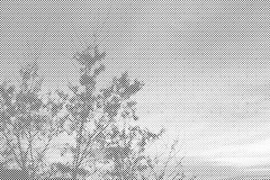 Ciel coloré - Dottingo