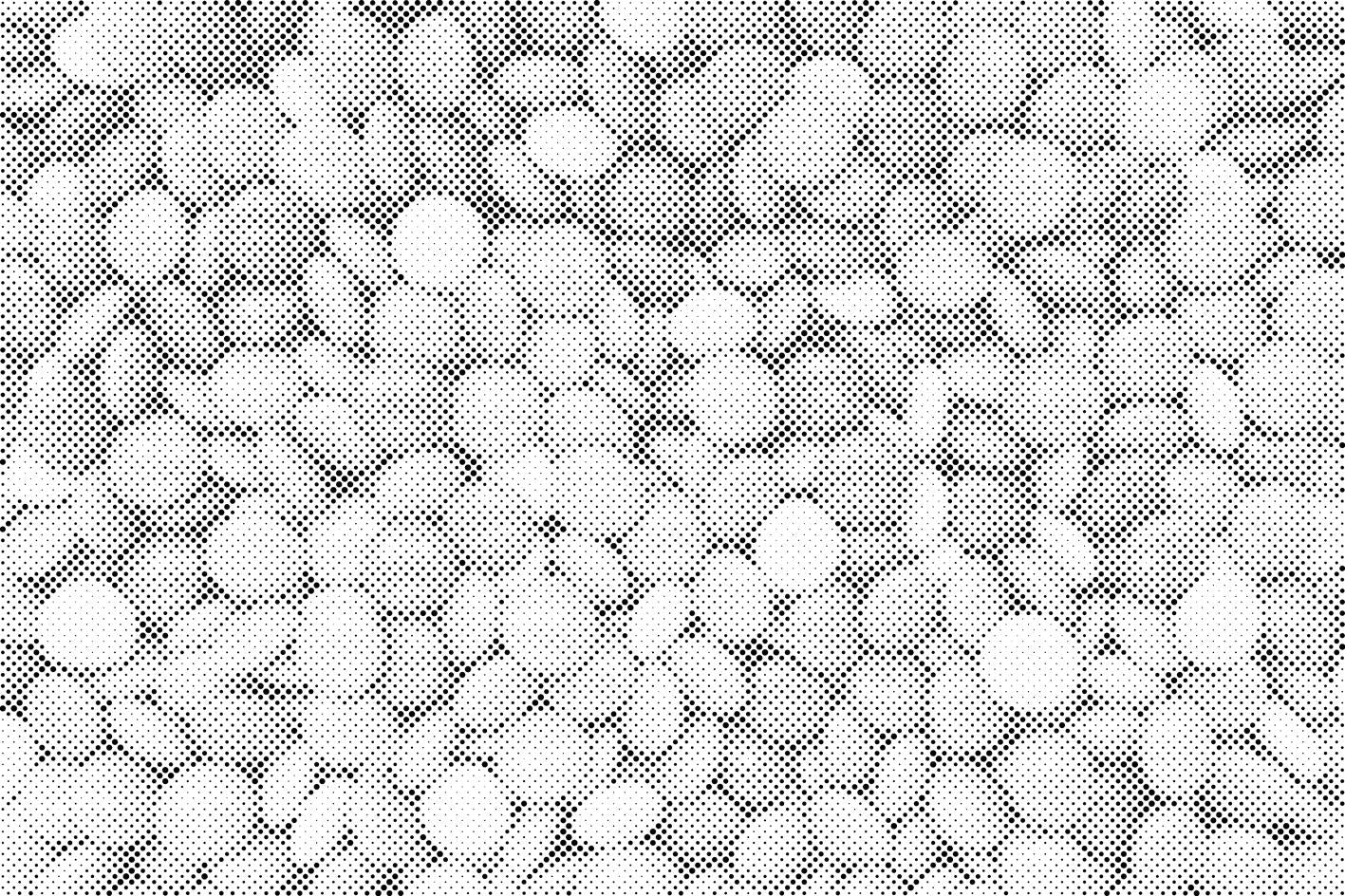 Lentilles - Dottingo