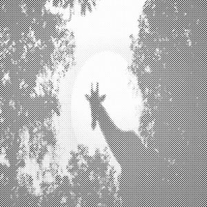 Girafe au clair de lune - Dottingo