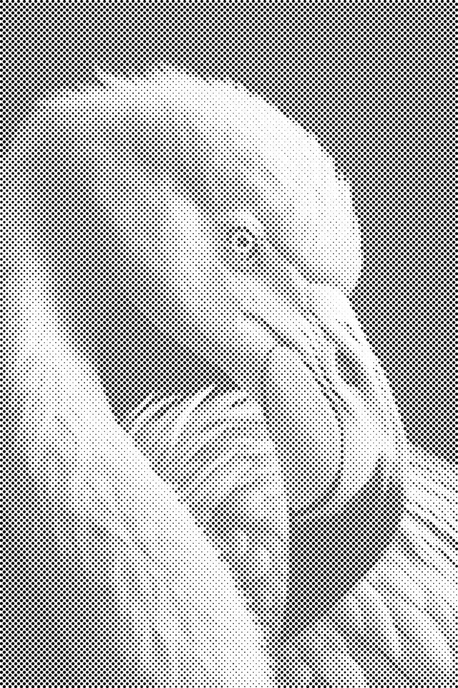 Peinture au diamant - portrait de flamant rose - Dottingo