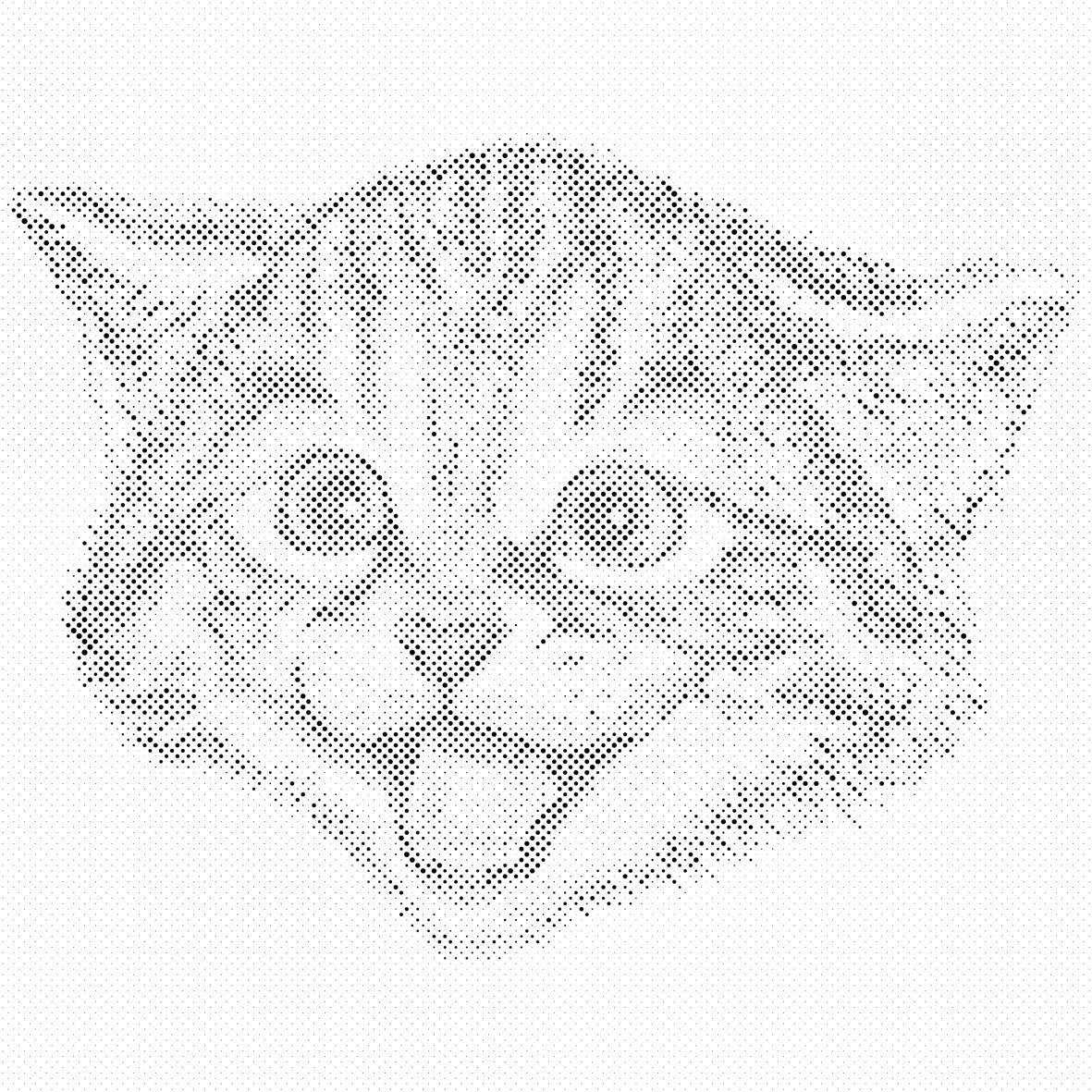 Chaton souriant - Dottingo