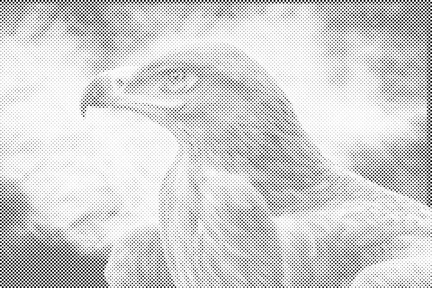 Rapace - Dottingo