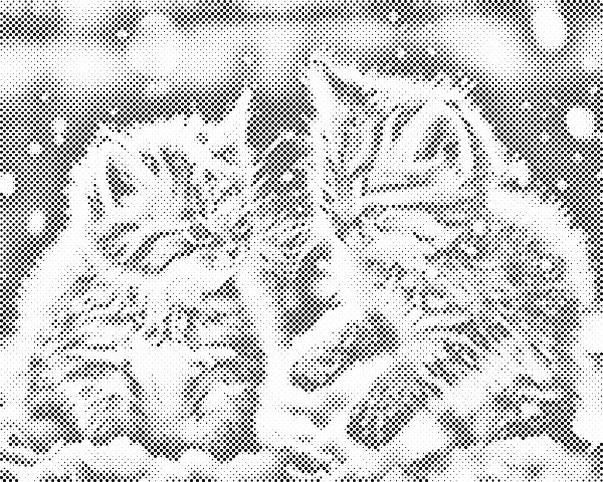 Chatons dans la neige - Dottingo
