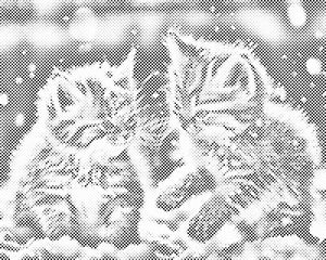 Chatons dans la neige - Dottingo
