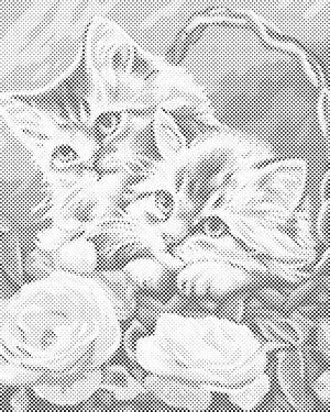 Chatons dans le panier - Dottingo