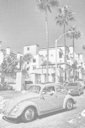 Coccinelle à Malibu - Dottingo