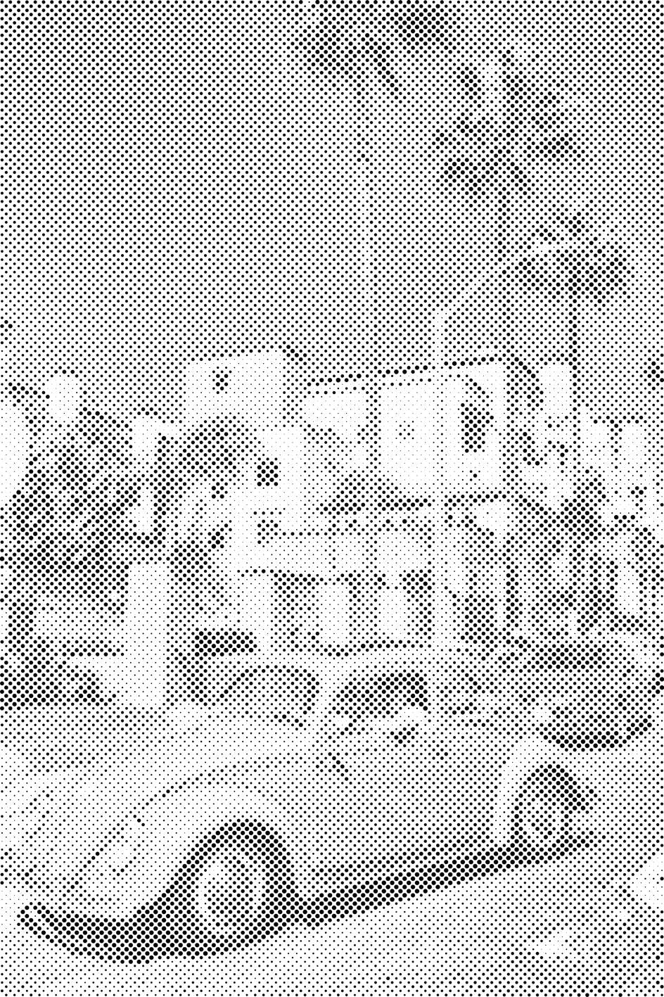 Coccinelle à Malibu - Dottingo