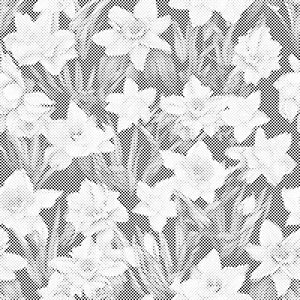 Fond floral - jonquilles - Dottingo