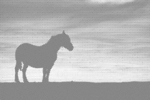 Cheval de guerre - Dottingo