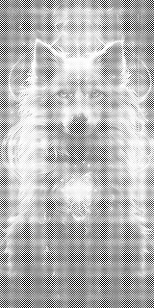 Loup magique - Dottingo