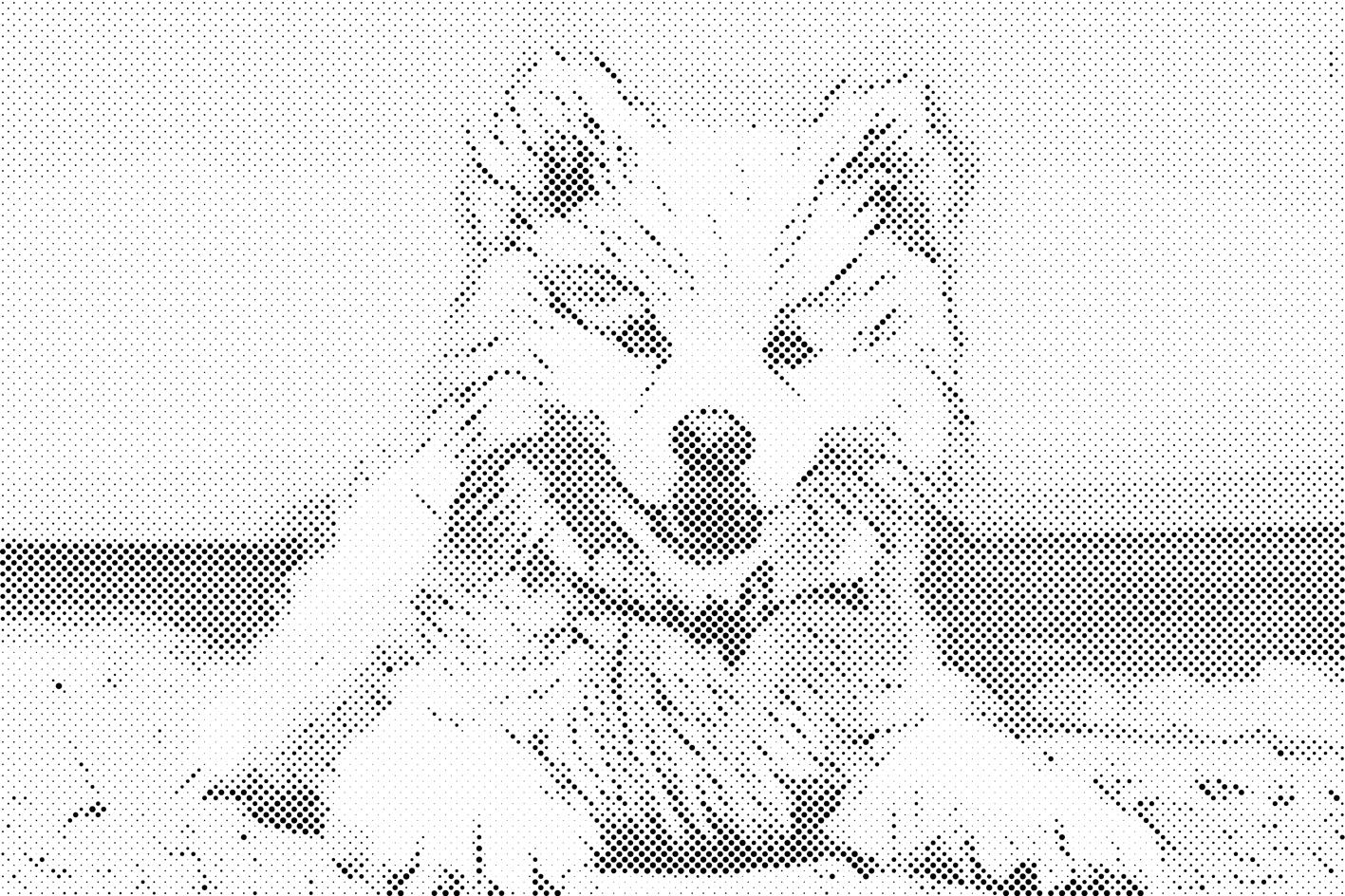 Chien gai - Dottingo