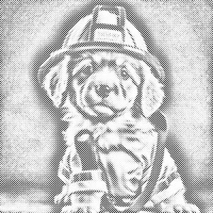 Chien de pompier - Dottingo