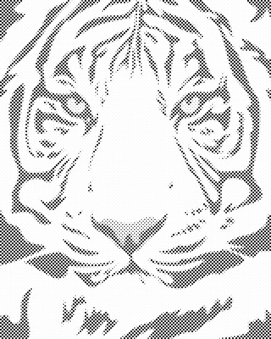 Tête de titre en noir et blanc - Dottingo