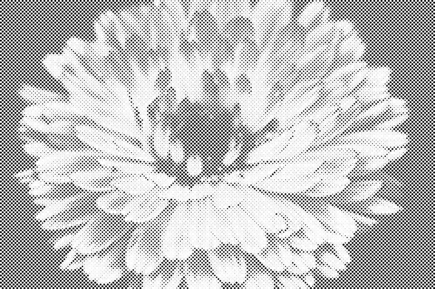 Fleur printanière - Dottingo