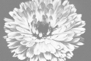 Fleur printanière - Dottingo
