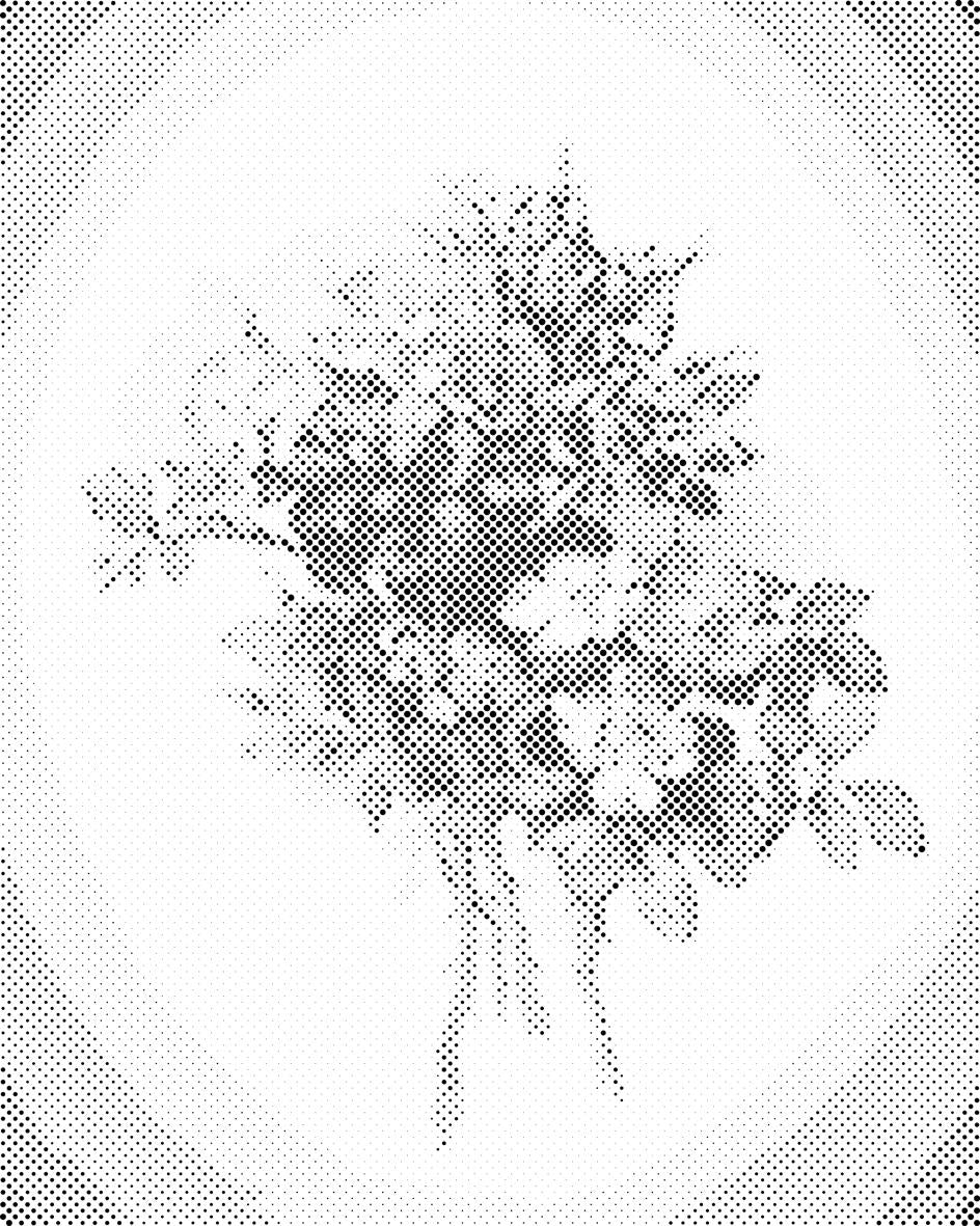 Fleurs Vintage VII - Dottingo