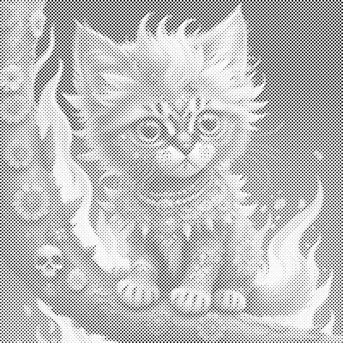 Chaton chamanique - Dottingo