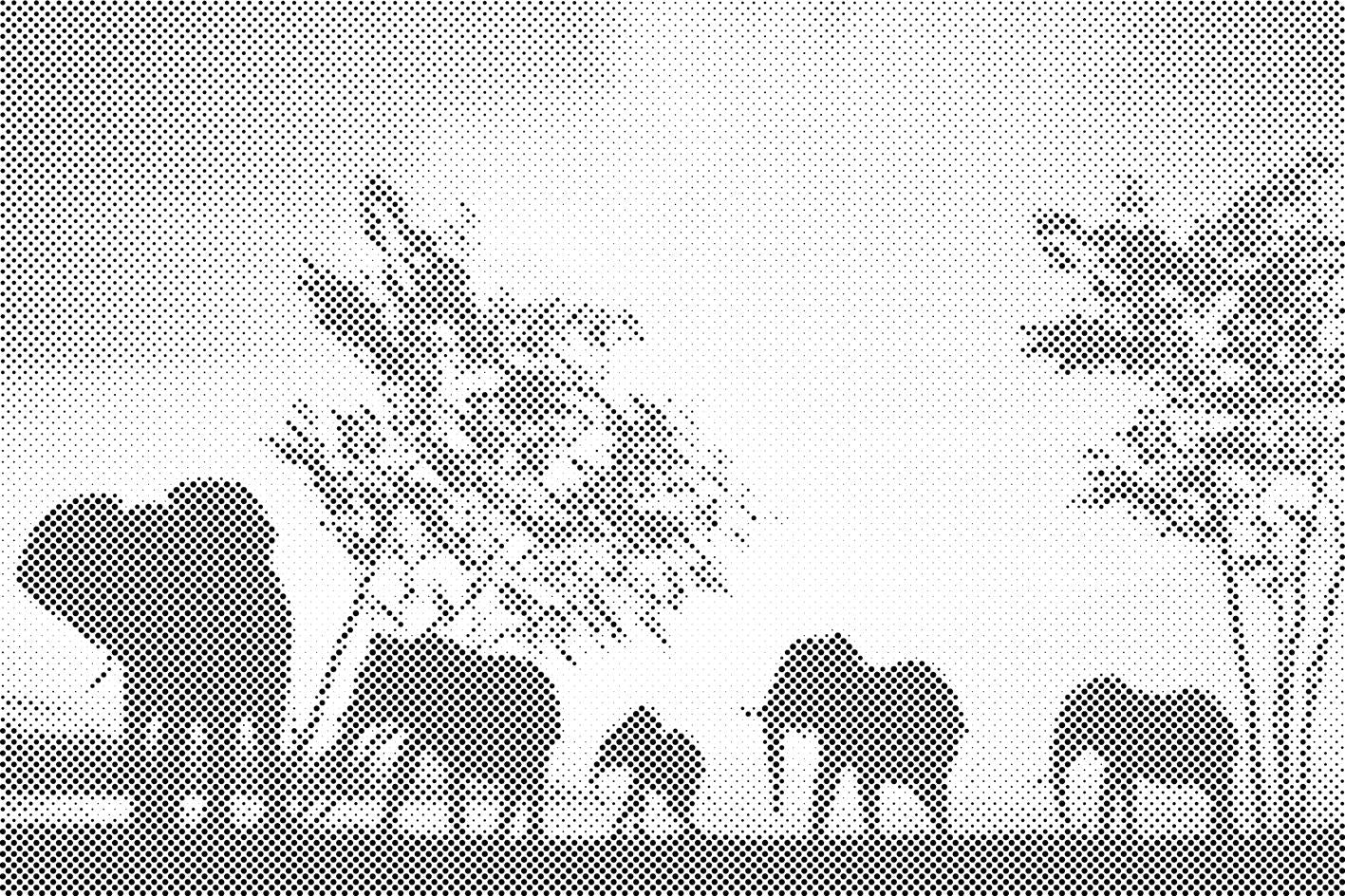 Éléphants dans la savane - Dottingo