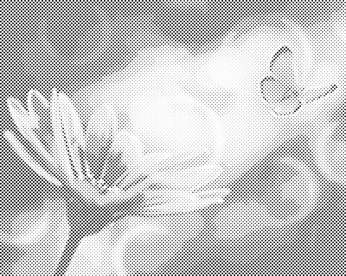 Papillon et Gerbera - Dottingo