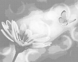Papillon et Gerbera - Dottingo