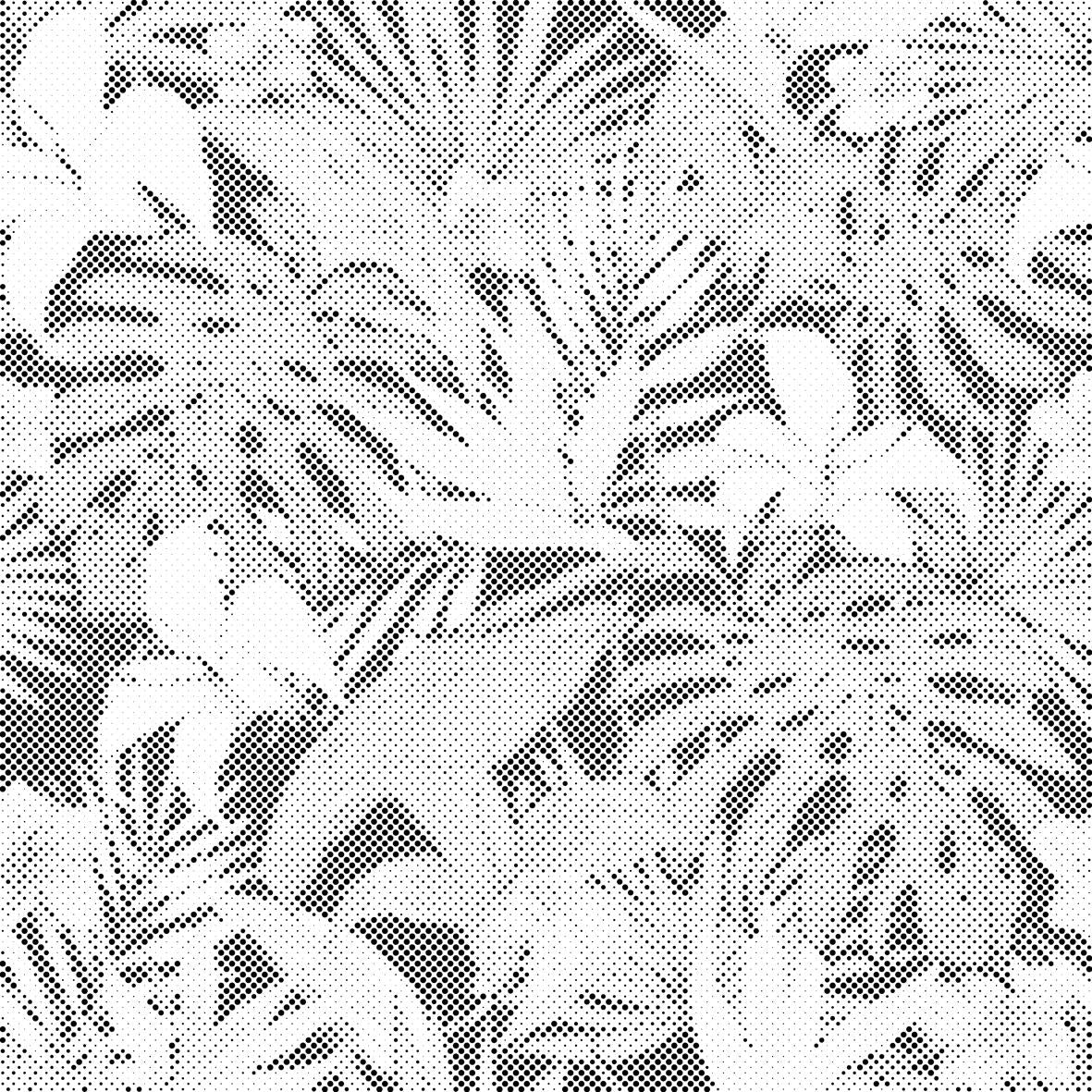 Fond tropical 2 - Dottingo