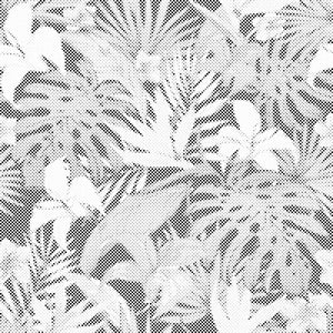 Fond tropical 2 - Dottingo