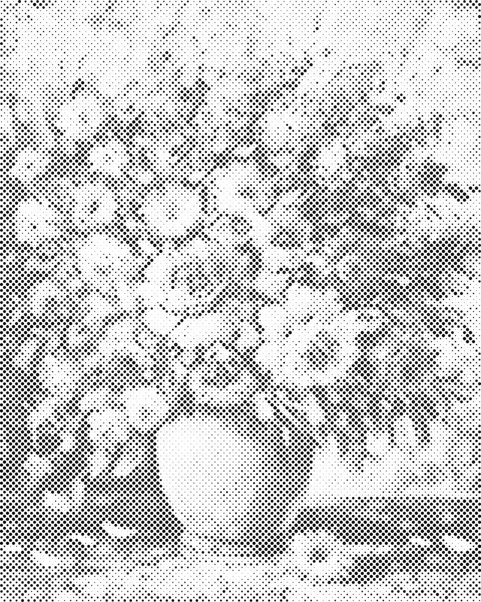 Bouquet d'été - Dottingo