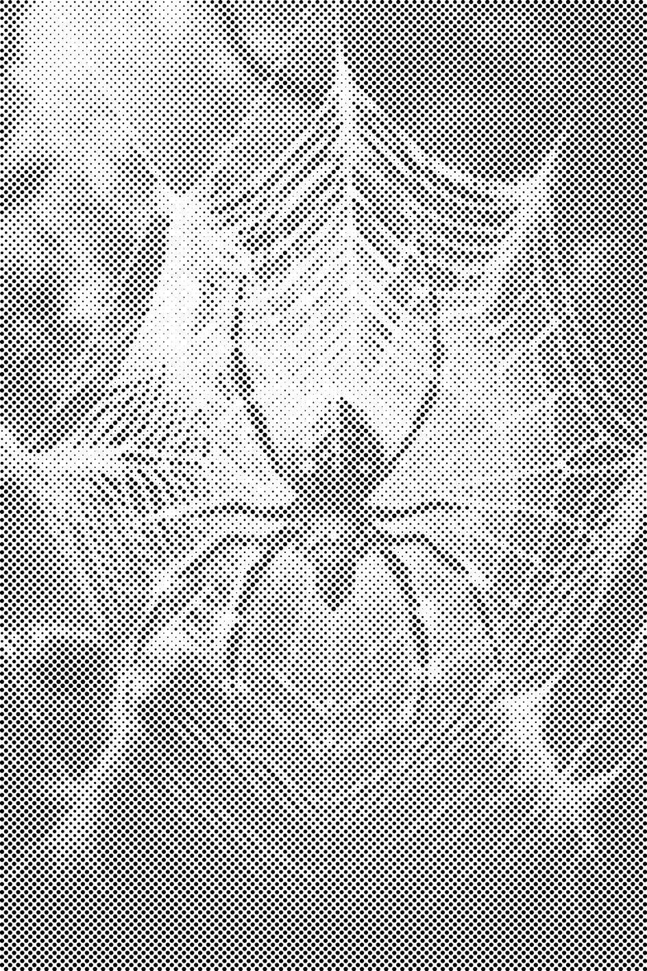 Araignée dans sa toile - Dottingo