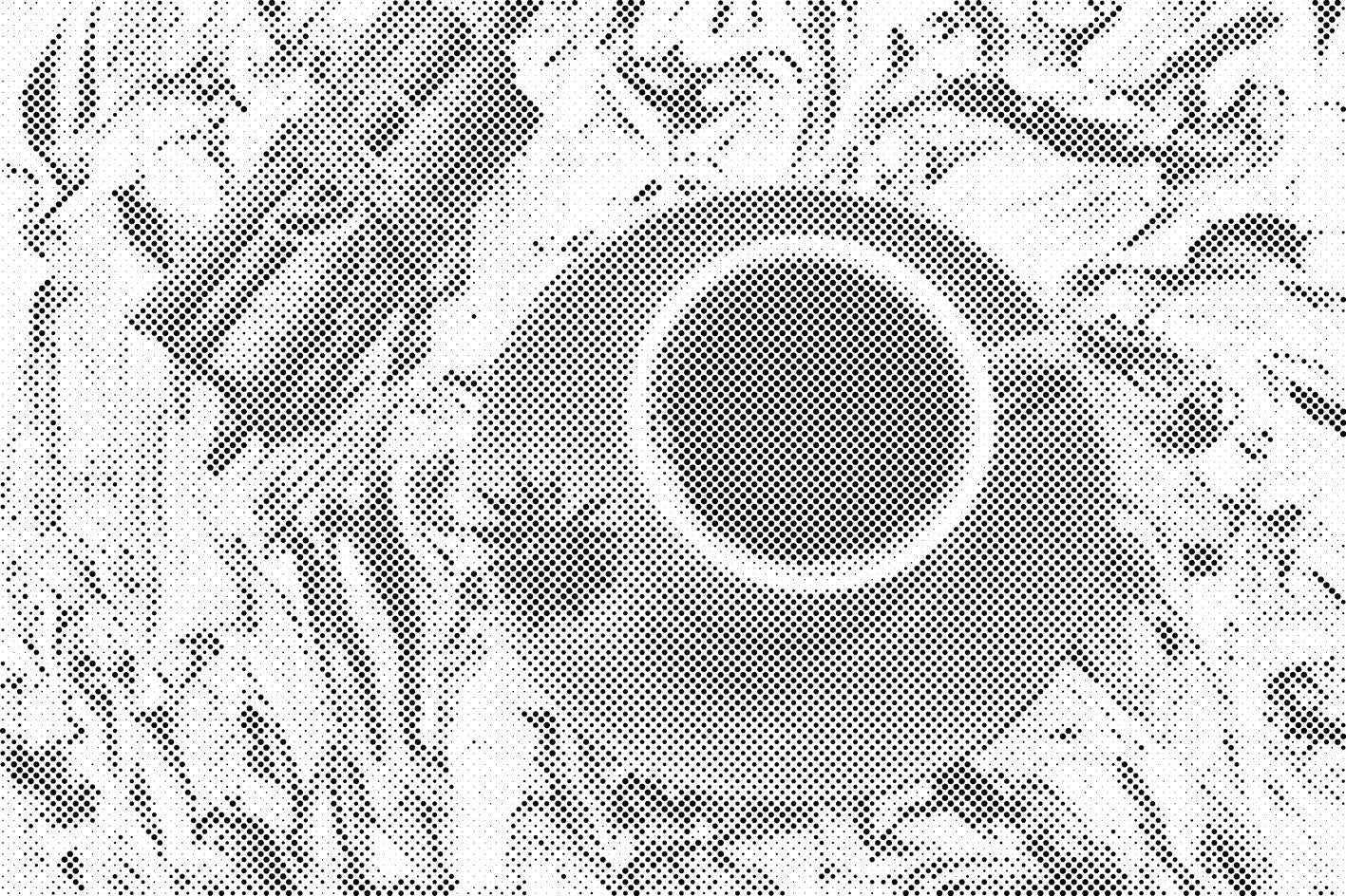Café à la cannelle - Dottingo