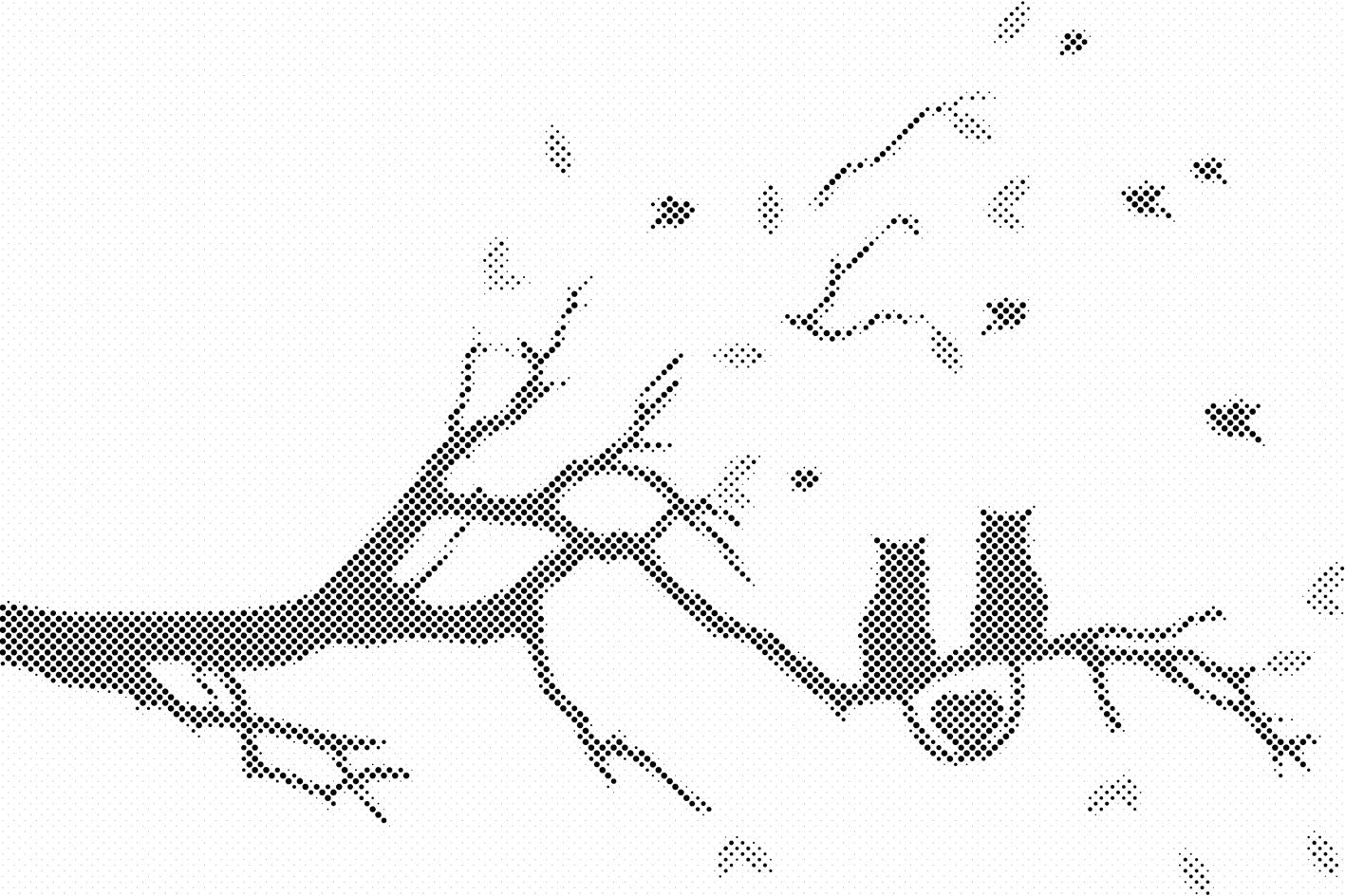Chats amoureux - Dottingo