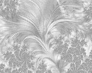Plumes fractales - Dottingo