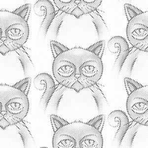 Chats grincheuse - Dottingo