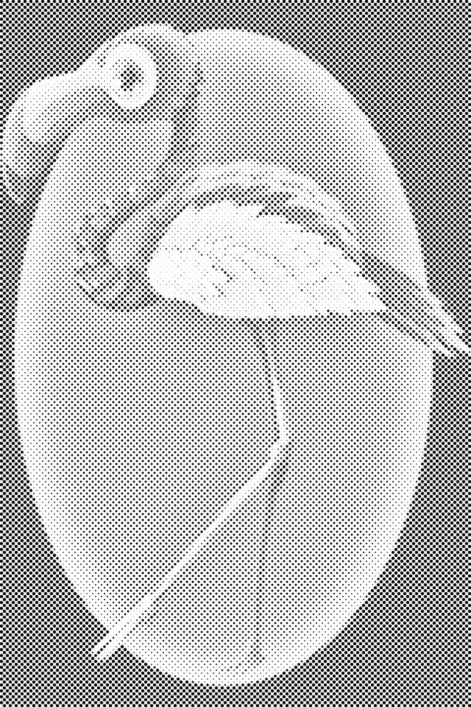 Flamant rose - Dottingo