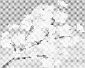 Fleurs de cerisier - Dottingo