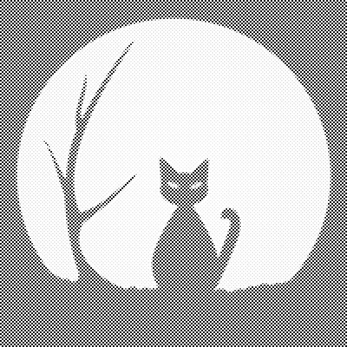 Chat noir 2 - Dottingo