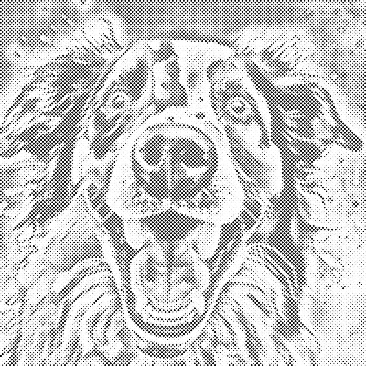 Chien gai et joueur - Dottingo